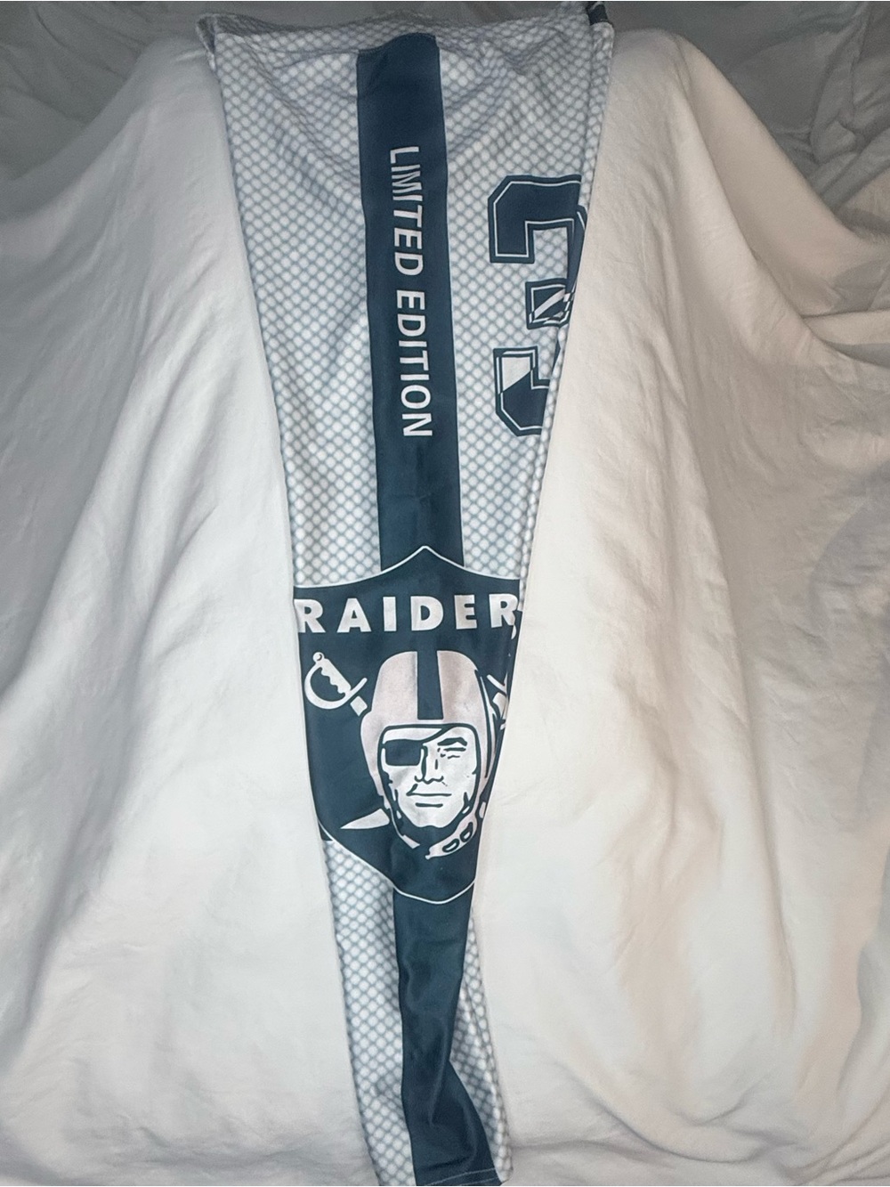 Limited Edition Light Gray & Dark Gray Raiders Leggings - Picture 3 of 4